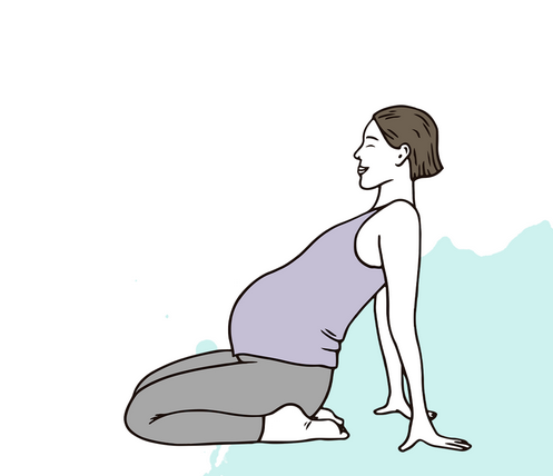 Yoga y Embarazo - Ilustración