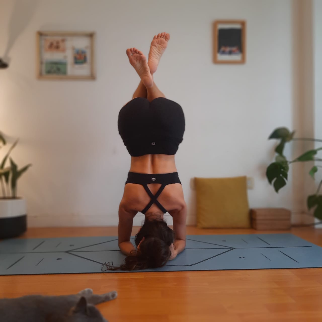 Celeste en formaciones